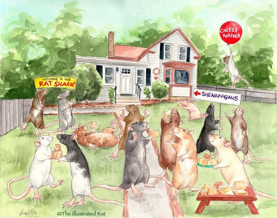 The Rat Shack - A painting of our mischief